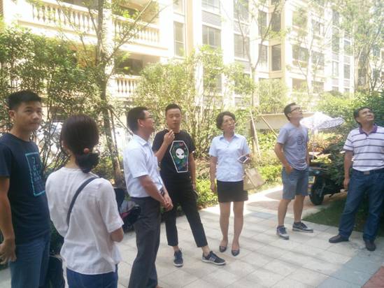 金彩牛幕墙考察